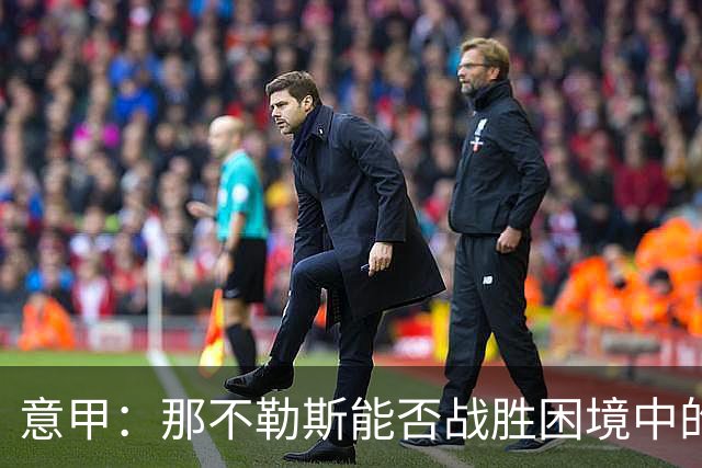 意甲：那不勒斯能否战胜困境中的博洛尼亚？